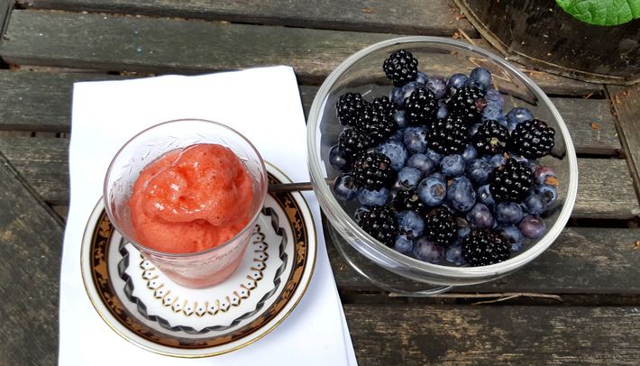 SORBETE DE FRESA CON FRUTAS DEL BOSQUE